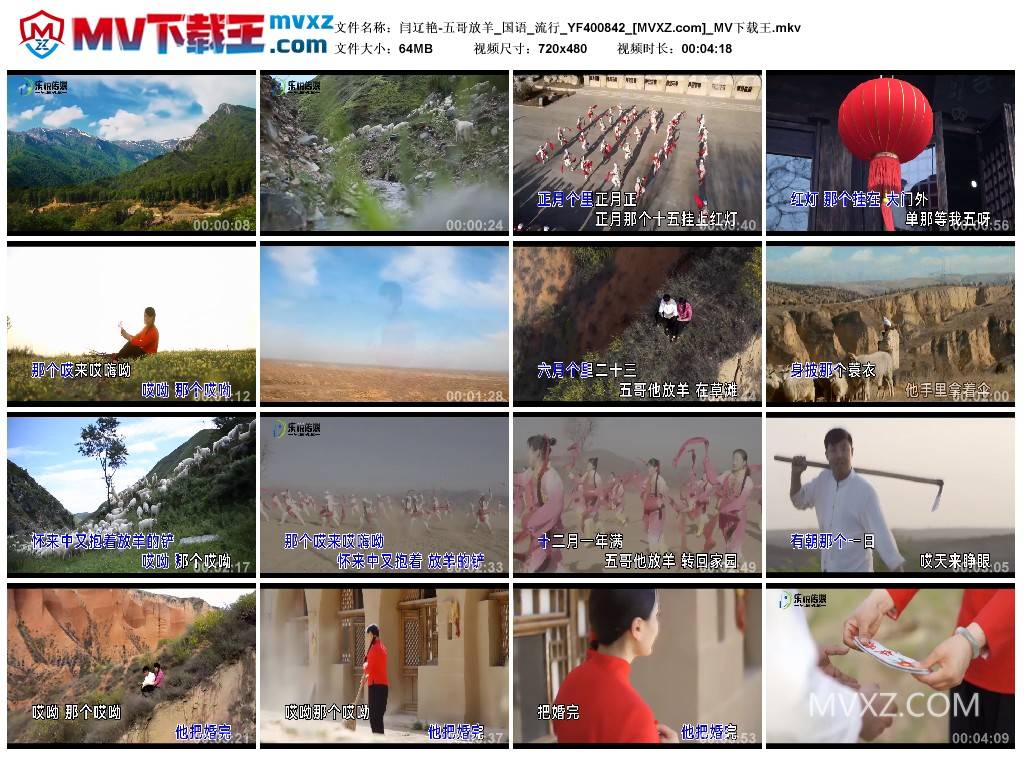闫辽艳-五哥放羊_国语_流行_YF400842